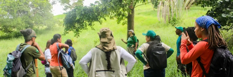 Restauração de Ecossistemas na Chapada Diamantina e Serra da Jibóia: desafios de campo e diagnóstico de áreas