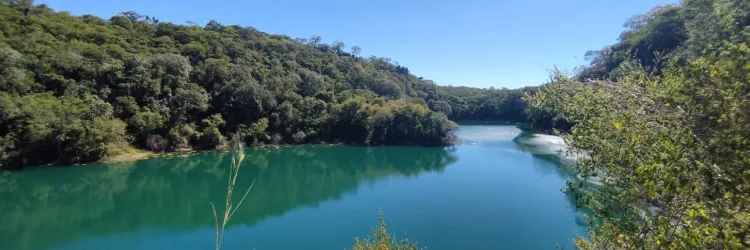 Governo da Bahia celebra o aniversário de 13 Unidades de Conservação no Dia Mundial do Meio Ambiente