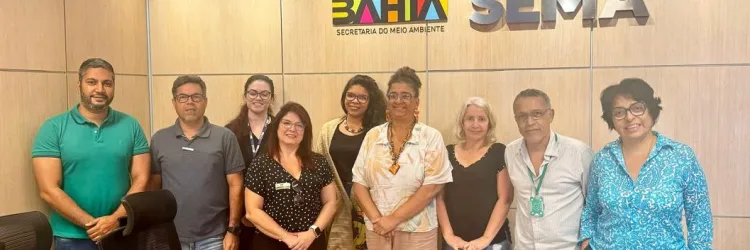 Poluentes Orgânicos