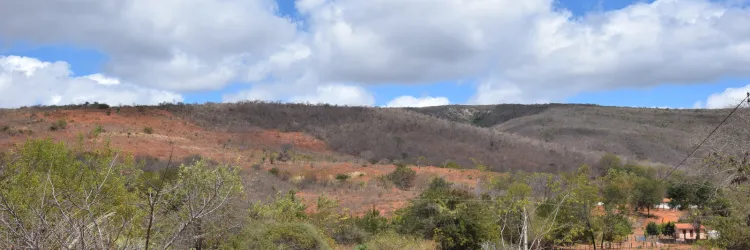 Governo da Bahia atua com iniciativas para fortalecer o combate à desertificação