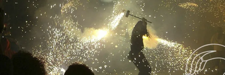 Sema e Inema alertam para os impactos dos fogos de artifícios na saúde de animais silvestres e domésticos