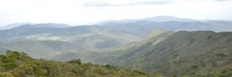 Unidades de Conservação atuam como pilares da preservação ambiental