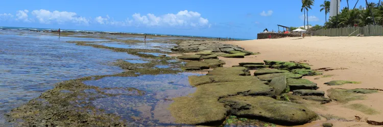 Sol, Chuvas Isoladas e Tempo Firme; Confira a Previsão do Tempo e a Balneabilidade para o Final de Semana na Bahia