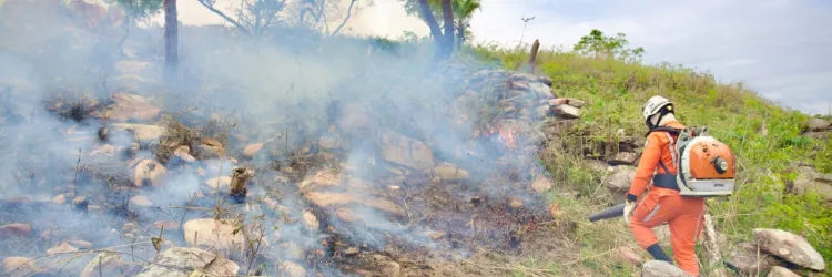 Flagrante de incêndio florestal em Érico Cardoso intensifica operação “Blitz Verde” na Chapada Diamantina