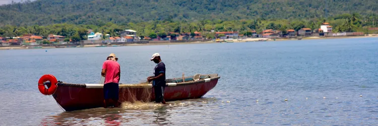 Celeiro de biodiversidade cultural e marinha, Baía de Todos-os-Santos completa 523 anos