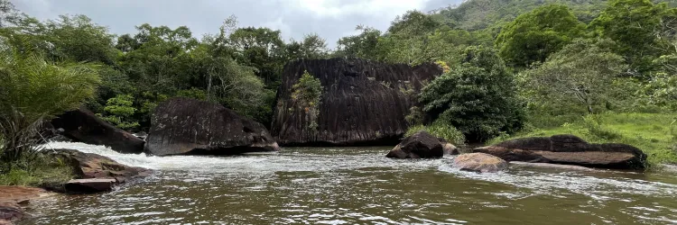 Dia Mundial da Água: Bahia avança na gestão hídrica com inovação e participação social
