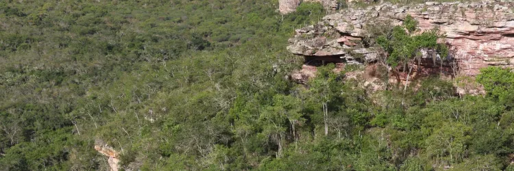 Sema divulga novo cronograma do Edital de projetos para conservação do Cerrado 