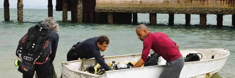 Cerca de 3 toneladas de coral invasor são removidas da Ilha de Itaparica 