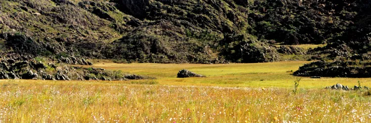 Chapada Diamantina sedia Semana da Mata Atlântica 2025 com ações em Mucugê e Lençóis