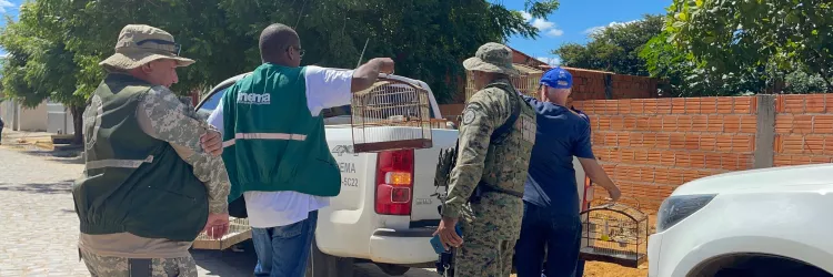 FPI combate tráfico de aves e promove ações educativas em Bom Jesus da Lapa