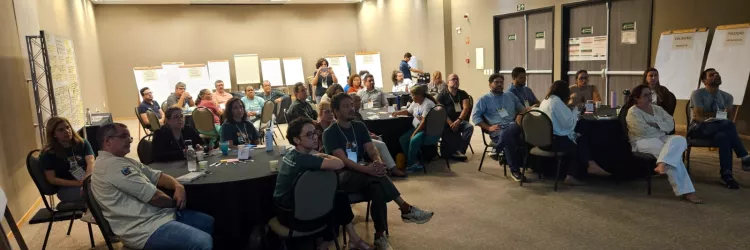 Sema e Inema participam de oficina para fortalecimento da conservação dos manguezais no Nordeste