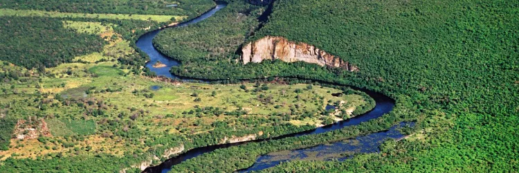 Bahia regulamenta Fundo de Compensação Ambiental para fortalecer Unidades de Conservação
