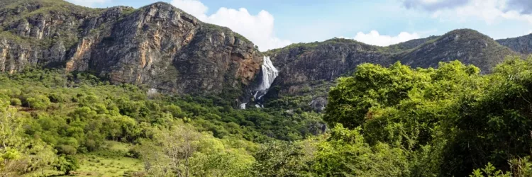 Dia Mundial da Conservação da Natureza: preservar é proteger o futuro