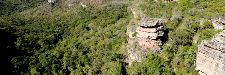 Sema detalha avanços da Reserva da Biosfera da Chapada Diamantina em reunião conjunta do Cepram e Conerh