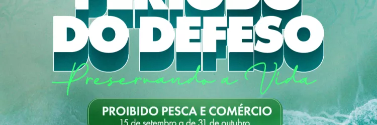 Defeso do Camarão: Pausa na pesca garante reprodução e preservação da espécie