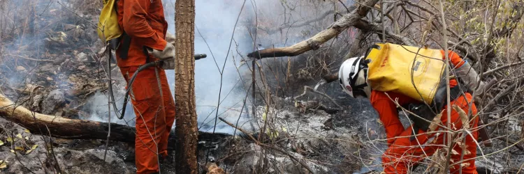 Balão vindo do RJ cai em Mucuri e acende alerta sobre os riscos ambientais da prática ilegal