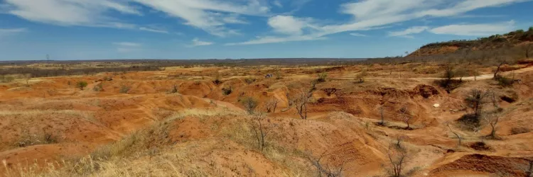Bahia inicia atualização do Plano de Combate à Desertificação com reunião virtual