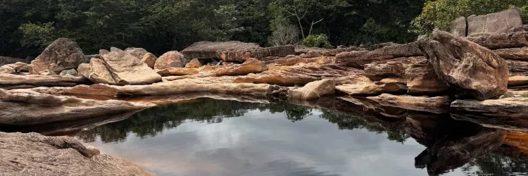 Na última quarta-feira (28), o Governo da Bahia, por meio da Secretaria do Meio Ambiente (Sema), deu um passo importante para o reconhecimento da Reserva da Biosfera da Chapada Diamantina (RBCD) ao encaminhar a proposta ao Ministério do Meio Ambiente (MMA). A iniciativa busca reconhecer e fortalecer a região como um território de relevância Socioambiental, alinhado às três funções fundamentais estabelecidas pelo Programa O Homem e a Biosfera (MaB), da Organização das Nações Unidas para a Educação, a Ciência