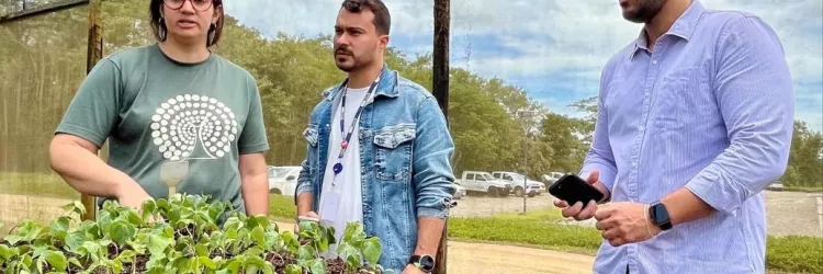 Sema visita viveiros no Extremo Sul para fortalecer política de recomposição florestal