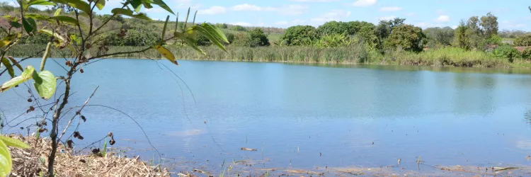 CONERH renova mandato de conselheiros e define planejamento na primeira reunião de 2026