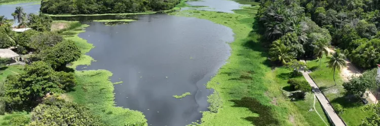 Com entrega prevista para abril, obras de requalificação do Parque de Pituaçu chegam a 90% de execução