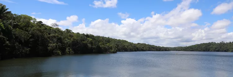 CEPRAM debate modernização do SEIA e sustentabilidade em reunião extraordinária