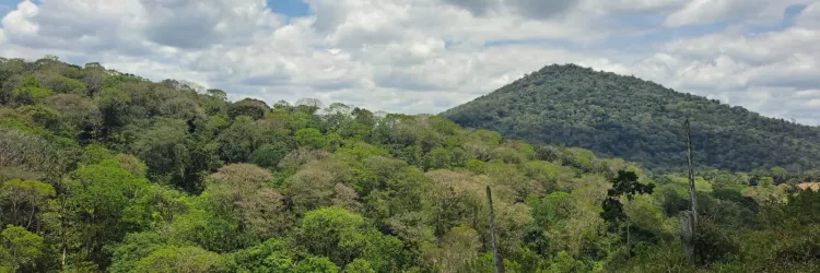 Sema e Inema fortalecem ações de proteção à fauna com novos editais do TCSA Porto Sul