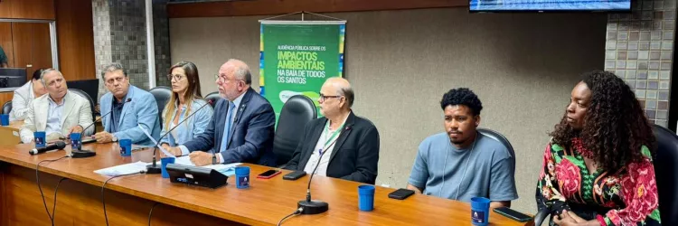 Inema participa de audiência pública na ALBA sobre impactos ambientais na BTS