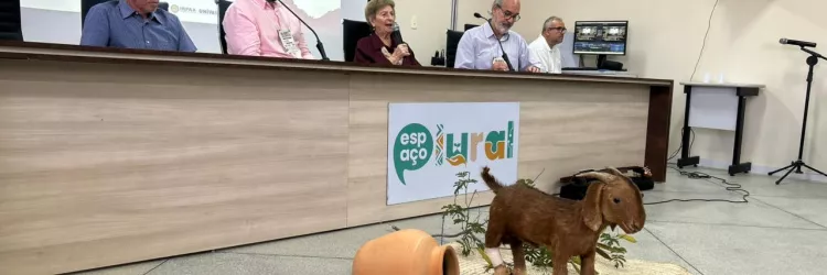 Seminário Juazeiro Desertificação