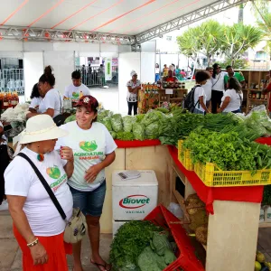 Foto: Fernando Vivas/GOVBA