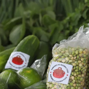 Foto Ilustrativa: Mateus Pereira/GOVBA