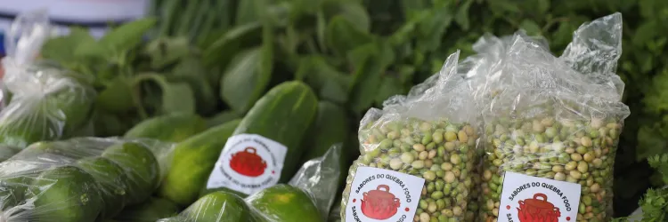 Foto Ilustrativa: Mateus Pereira/GOVBA