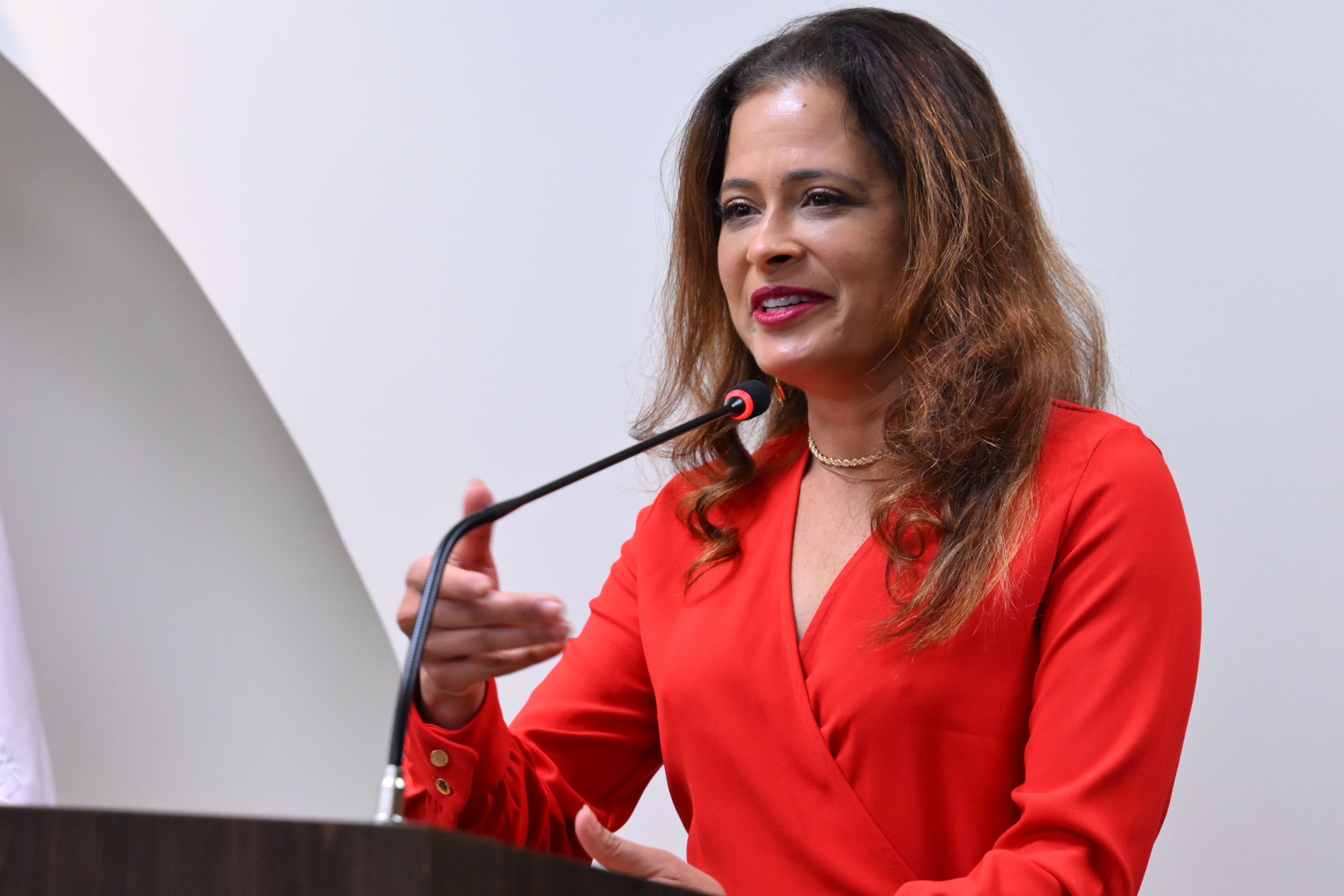 O ChatGPT disse: A imagem mostra uma mulher falando ao microfone em um púlpito. Ela está em pé, usa um vestido vermelho e colar dourado, e tem cabelos longos e soltos. A mulher sorri levemente e faz um gesto com a mão direita enquanto discursa. O fundo é claro, com parte de uma bandeira visível à esquerda. A cena ocorre em um ambiente formal, possivelmente durante uma cerimônia.