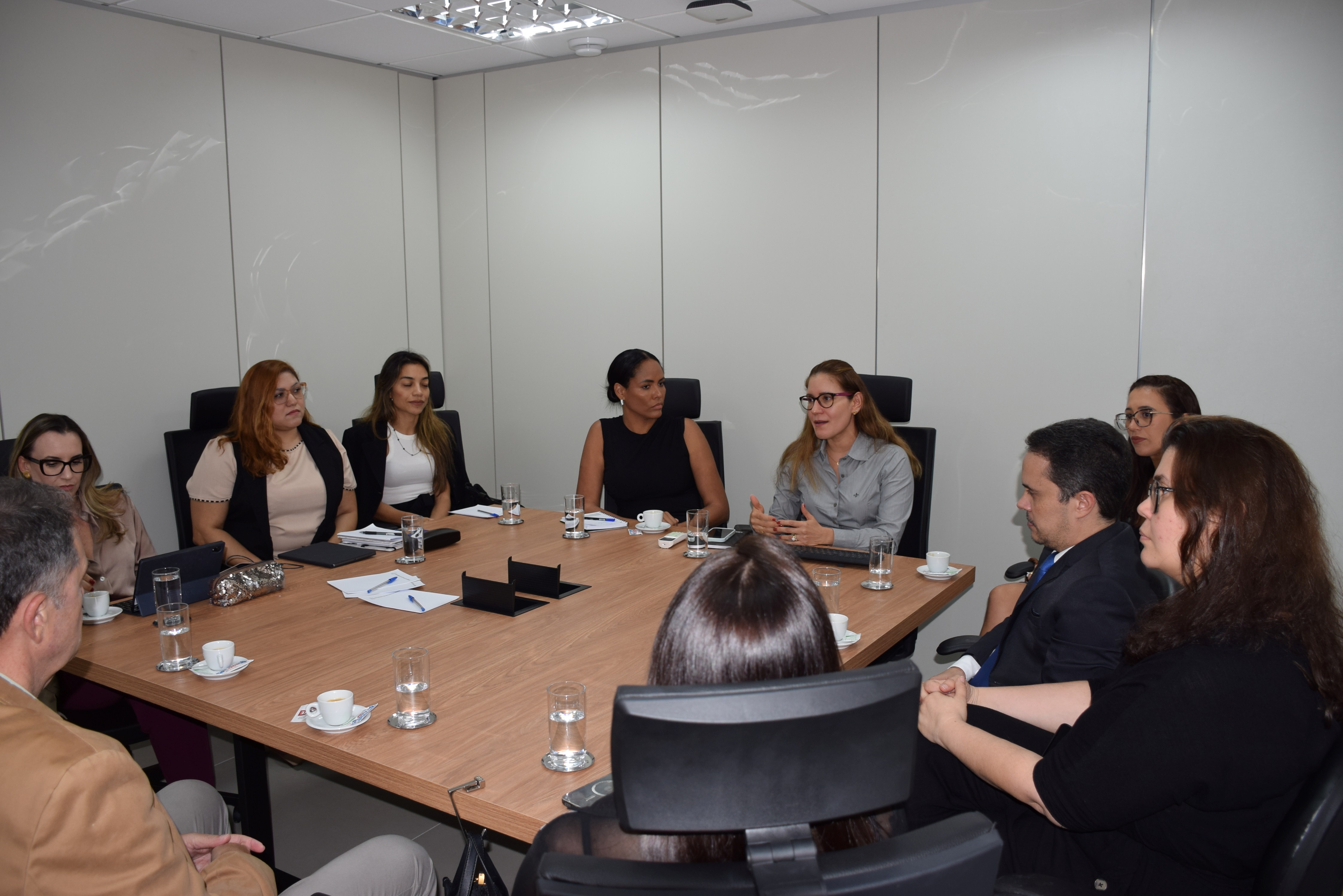 Imagem mostra uma reunião em uma sala de escritório. Dez pessoas, entre mulheres e homens, estão sentadas ao redor de uma mesa retangular de madeira. Todos estão atentos, e uma mulher de camisa cinza fala enquanto os outros escutam. Há copos de água, xícaras de café, papéis e celulares sobre a mesa. A sala é clara, com paredes brancas e iluminação de teto. O clima é formal e profissional.