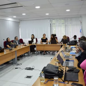 A imagem mostra uma sala de reunião com cerca de 14 pessoas sentadas em torno de uma mesa em “U”. Há notebooks, copos com água e garrafas de álcool em gel sobre a mesa. As pessoas usam roupas formais e estão atentas, algumas digitam, outras escutam. No fundo, há janelas com persianas brancas fechadas e três bandeiras em suportes. O ambiente é claro, com iluminação de teto e ar-condicionado. Ao lado das bandeiras, há um púlpito transparente com o logotipo da PGE.