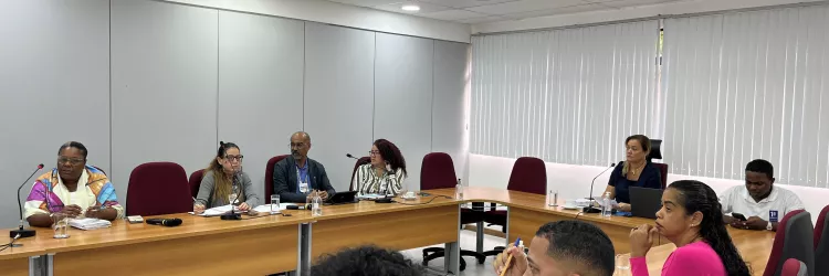 A imagem mostra uma reunião em uma sala clara, com paredes cinzas e janelas cobertas por persianas brancas. Nove pessoas estão sentadas em volta de uma mesa em formato de “U”. À esquerda, quatro participantes prestam atenção, entre eles uma mulher de lenço colorido e um homem de óculos. Ao centro, uma mulher de blazer azul fala ao microfone, com um homem de camisa branca ao lado. Em primeiro plano, três pessoas aparecem de costas, incluindo uma mulher de blusa rosa. Sobre a mesa há copos de água, cadernos, 