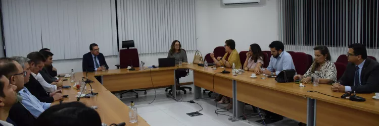 Sala de reunião ampla e bem iluminada, com paredes brancas e janelas cobertas por persianas verticais. Duas fileiras de mesas em formato de “U” ocupam o centro. Ao redor delas, cerca de quinze pessoas estão sentadas, participando de uma reunião. À esquerda, há homens de terno e camisas sociais; à direita, mulheres e homens conversam atentos. Sobre as mesas há copos, xícaras, garrafas de água e microfones. Ao fundo, uma mulher fala enquanto os demais escutam.