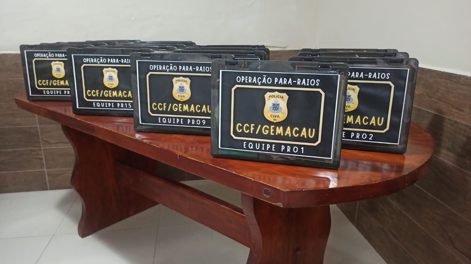 Operação Para-raios CCF/GEMACAU