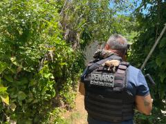 Polícia Civil localiza 10 kg de drogas em casa abandonada no bairro Sussuarana