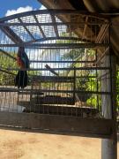 Homem é autuado por posse ilegal de arma e caça de animais silvestres em Santo Estêvão