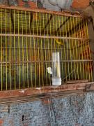 Homem é autuado por posse ilegal de arma e caça de animais silvestres em Santo Estêvão