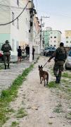Três presos e menor apreendido em Operação hoje na cidade de Feira de Santana