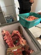 Mulher é presa em flagrante pelos crimes de receptação e contra saúde pública