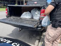 Ação coordenada reuniu 60 policiais para combater crimes como estelionato, propaganda enganosa, lavagem de dinheiro e exercício ilegal da profissão, praticados por empresas de fachada atuantes na capital