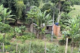 Sete pessoas foram encontradas em situação degradante durante uma diligência da Delegacia Territorial de Itabela