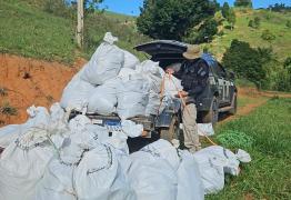  Ação realizada pela Polícia Civil encontrou entorpecentes, munições e insumos usados no preparo de maconha tipo “ice” e “skunk”