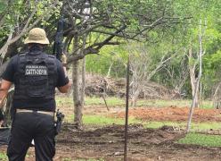 Área de cultivo estava na zona rural do município, e suspeitos utilizavam água desviada de adutora que abastece a cidade