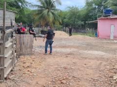 A ação conjunta entre a Polícia Civil da Bahia, Polícia Civil do Ceará e Ibama mira grupo investigado por crimes ambientais e associação criminosa