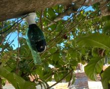 Os equipamentos estavam instalados em postes e árvores no bairro de Portão