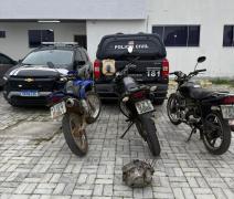 Operação Apate desarticula esquema de R$ 1 milhão com fraudes veiculares